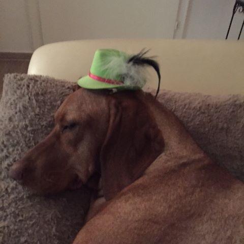 Bald ist wieder Karneval