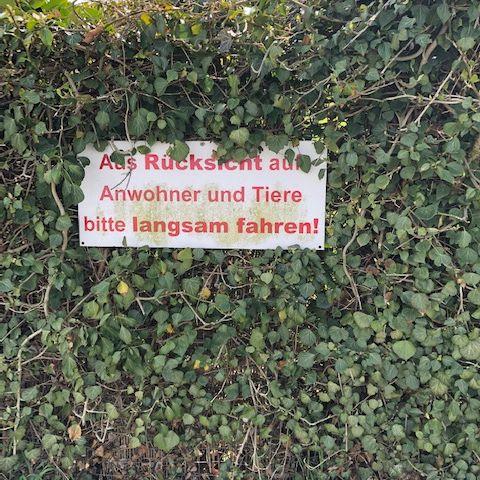 Rücksicht